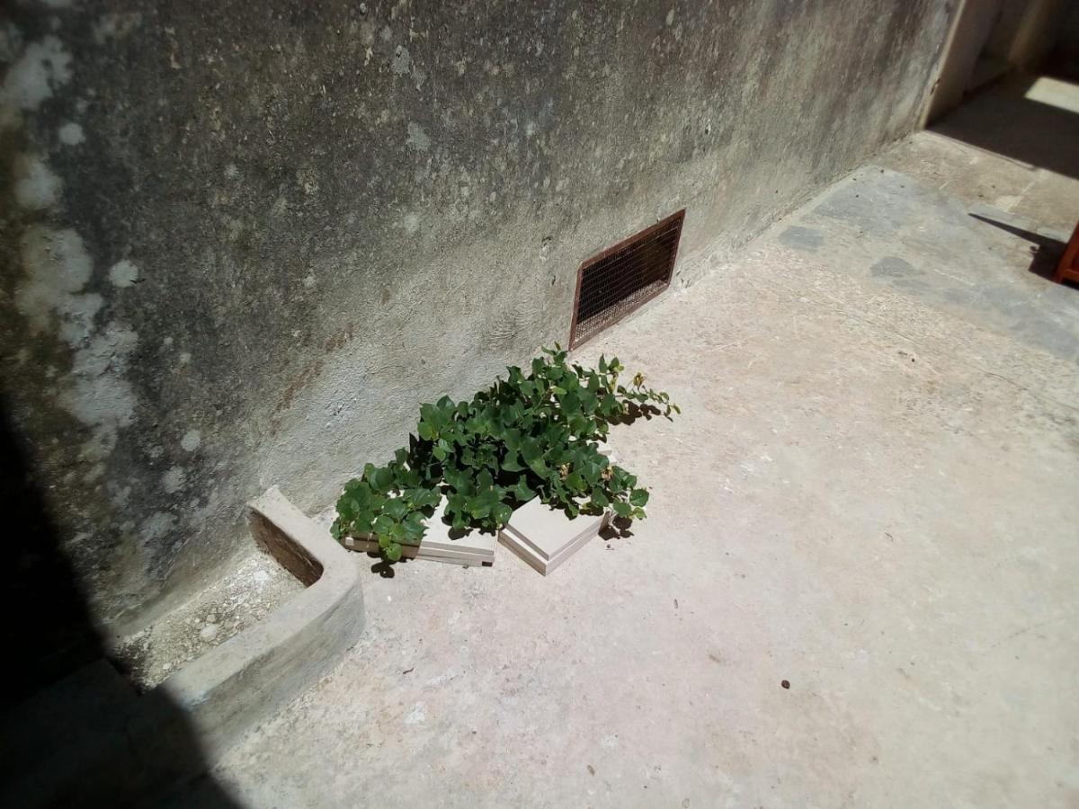 Cortile Calinea Bed and Breakfast Castrignano del Capo Εξωτερικό φωτογραφία
