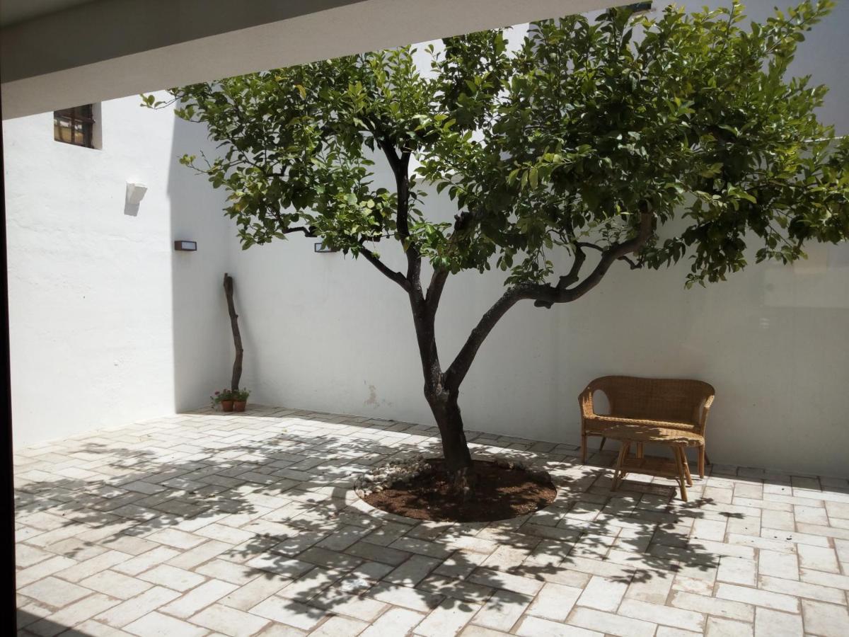 Cortile Calinea Bed and Breakfast Castrignano del Capo Εξωτερικό φωτογραφία