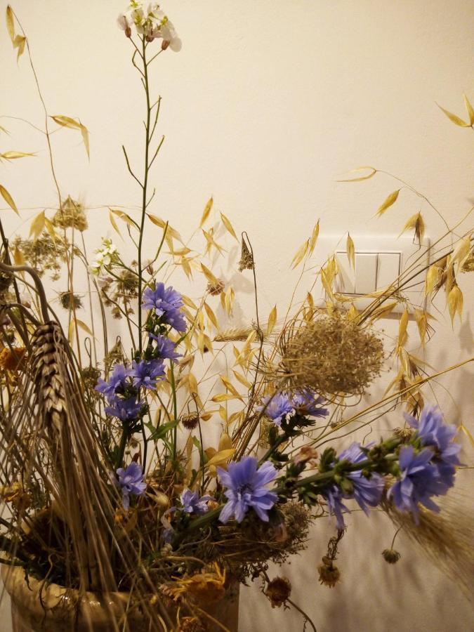 Cortile Calinea Bed and Breakfast Castrignano del Capo Εξωτερικό φωτογραφία